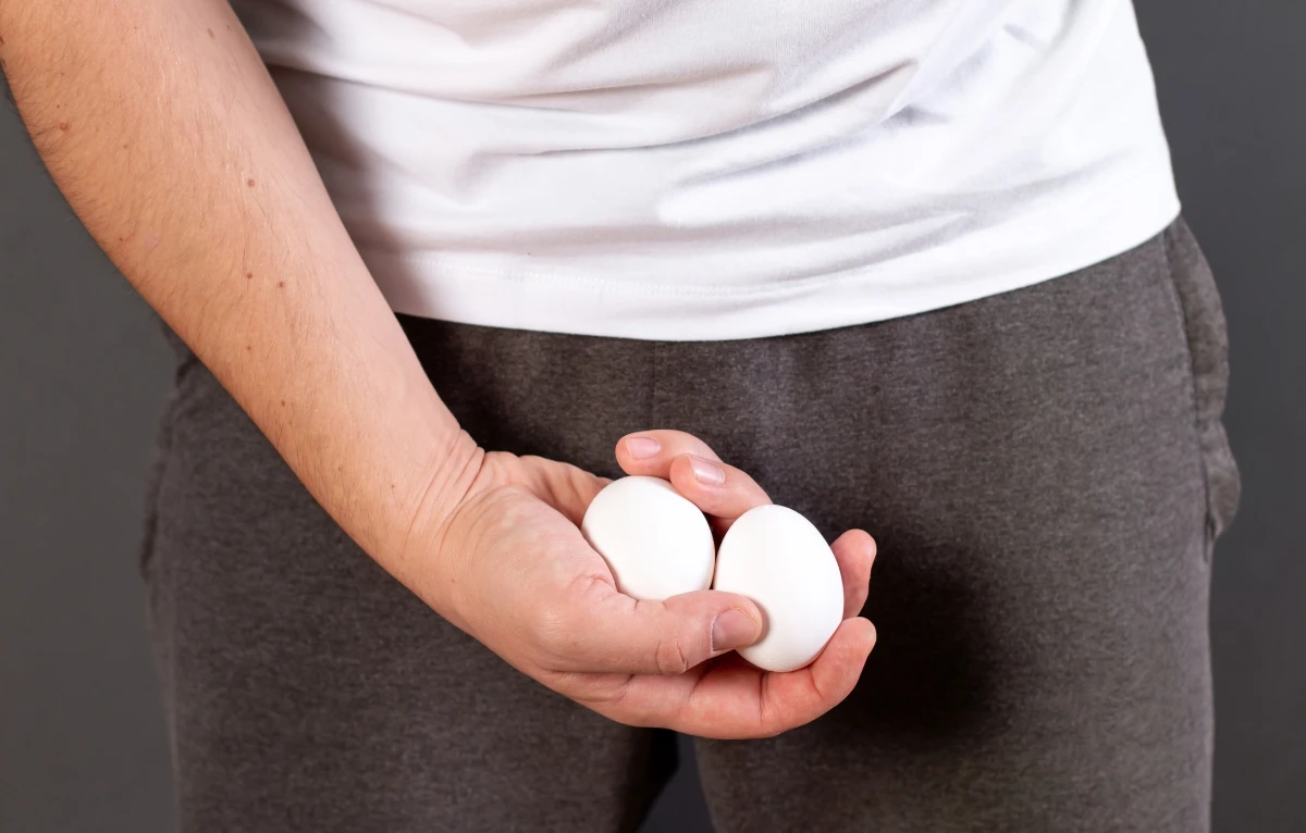 Combien de temps pour avoir les testicules pleines