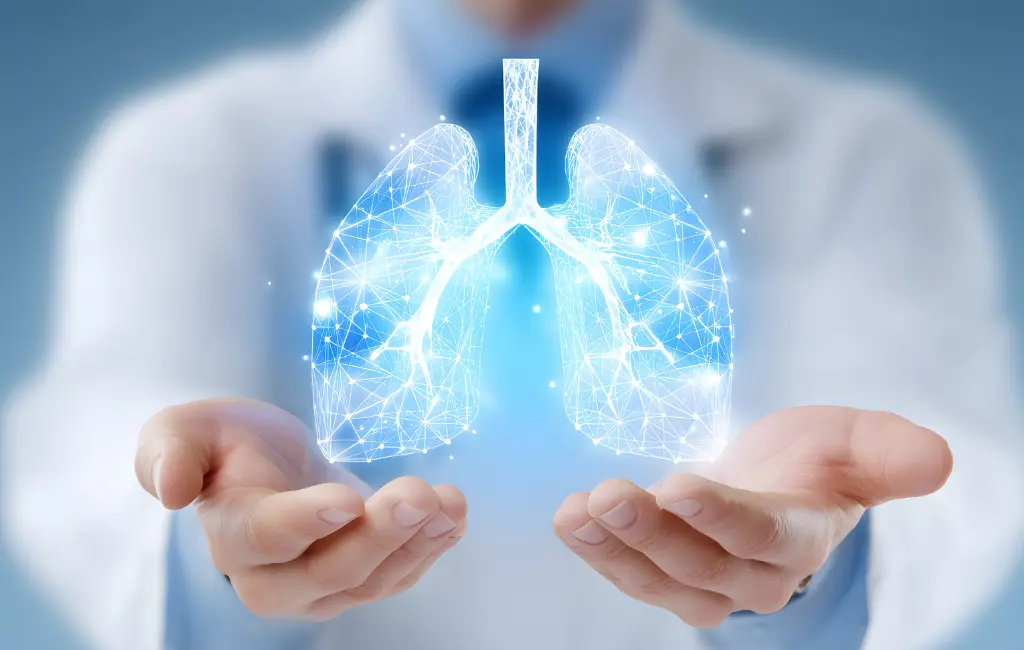 absence de lésion parenchymateuse pulmonaire